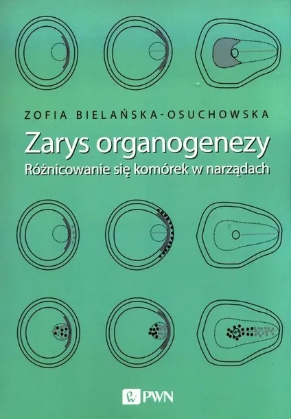 zarys-organogenezy