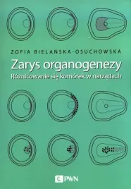 zarys-organogenezy