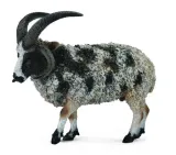 owca-wieloroga-l