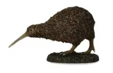 kiwi-m
