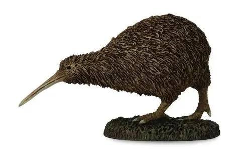 kiwi-m
