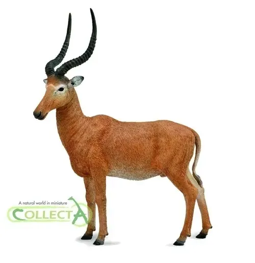 hirola