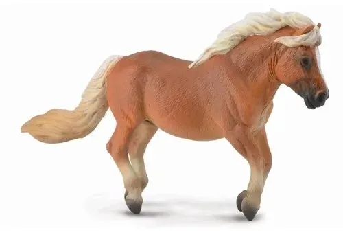 kucyk-shetland-chestnut
