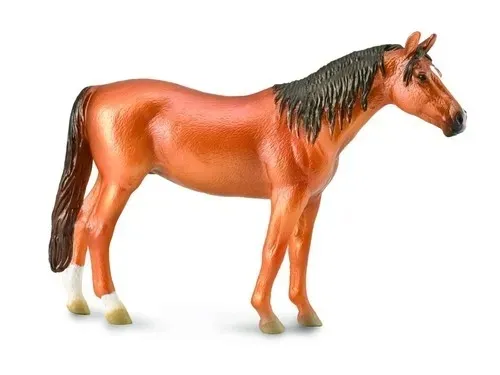 kon-russian-don-mare