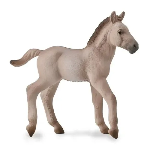 konik-foal-blue-dun