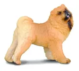 pies-rasy-chow-chow