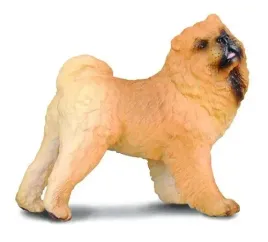 pies-rasy-chow-chow