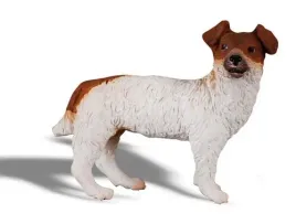 pies-jack-russell-terier