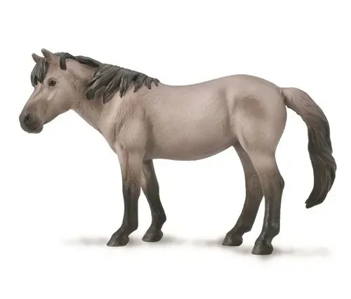 konik-mare-blue-dun