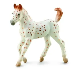 kon-knabstrupper-foal