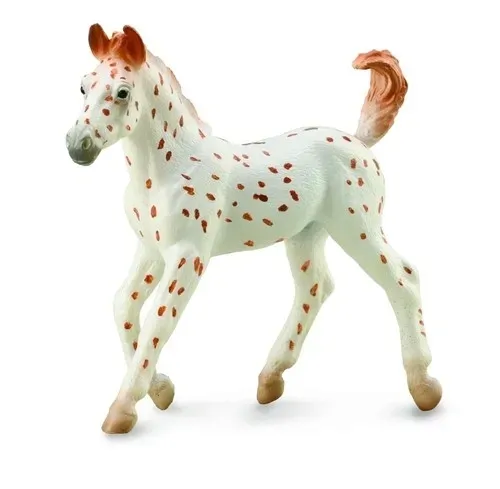 kon-knabstrupper-foal