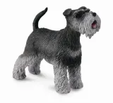 schnauzer-m