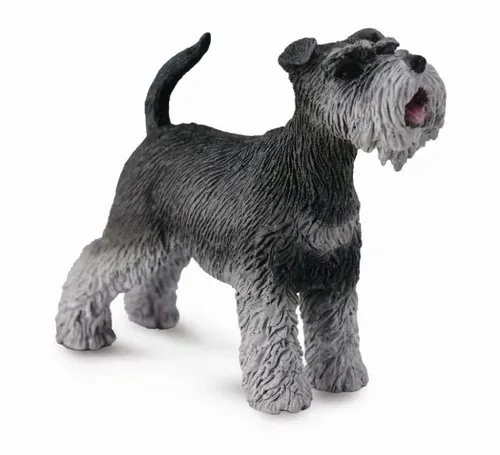 schnauzer-m