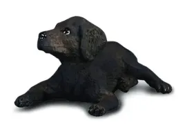 pies-labrador-szczeniak-s