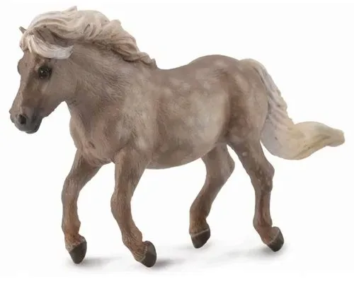 kucyk-shetland-silver-dapple