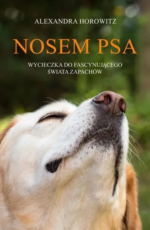 nosem-psa