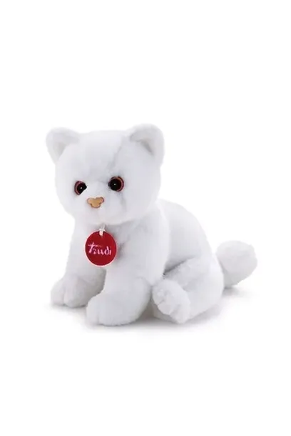 sweet-collection-kotek-s