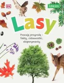lasy