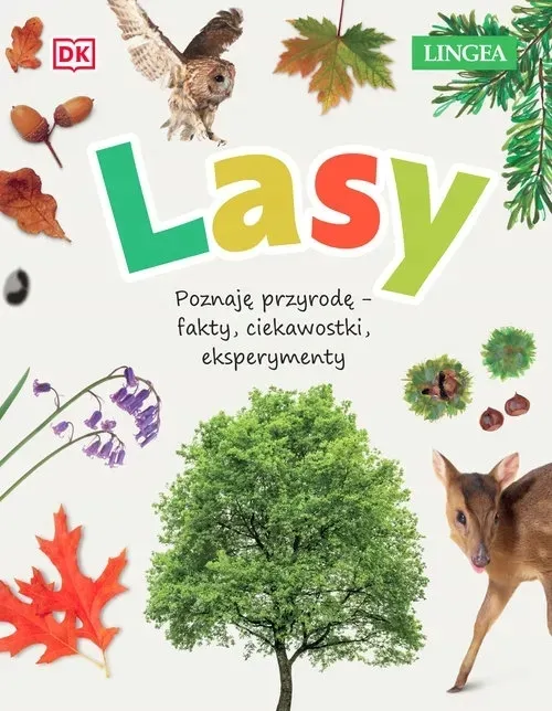 lasy