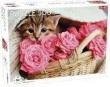 puzzle-kitty-kitty-500