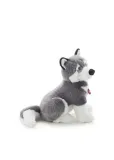 husky-marcus-l