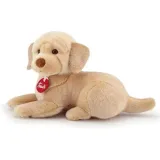 labrador-liam