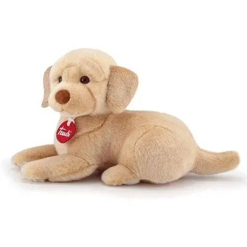 labrador-liam