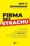 firma-bez-strachu