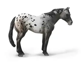 niebieski-deresz-appaloosa