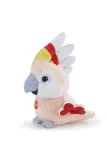 sweet-collection-papuga