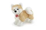 akita-ascanio-m