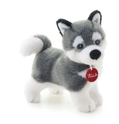 plusz-husky-s