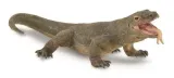 waran-z-komodo