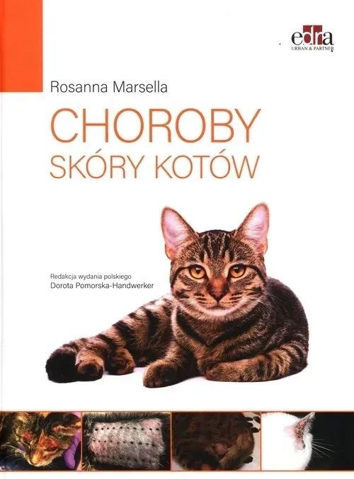 choroby-skory-kotow