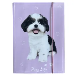 interdruk-puppy-sign-teczka-z-gumka-a4-mix-wzorow-1-sztuka