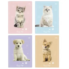 interdruk-puppy-sign-zeszyt-do-slowek-kratka-a6-mix-32-kartki-1-sztuka