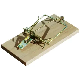 bros-lapka-na-myszy-drewniana