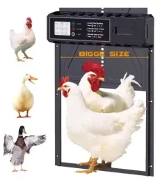 drzwi-automatyczne-do-kurnika-aluminiowe-programator