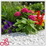 thassos-grys-8-16mm-snieznobialy-brokat-ozdobny-kamien-do-ogrodu-10kg-marka-bez-marki