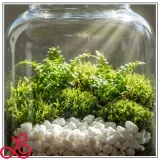 thassos-grys-8-16mm-snieznobialy-brokat-ozdobny-kamien-do-ogrodu-10kg-stan-nowy-rodzaj-zwir-ogrodowy