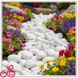 kamien-otoczak-thassos-3-6cm-kamien-ogrodowy-bialy-dekoracyjny-ozdobny-10kg-marka-gawlik