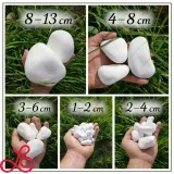 kamien-otoczak-thassos-3-6cm-kamien-ogrodowy-bialy-dekoracyjny-ozdobny-10kg-stan-opakowania-oryginalne-marka-gawlik