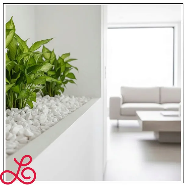 grys-kamien-16-32mm-thassos-snieznobialy-dekoracyjny-do-ogrodu-ozdobny-20kg-stan-nowy-marka-gawlik