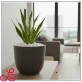 grys-kamien-16-32mm-thassos-snieznobialy-dekoracyjny-do-ogrodu-ozdobny-20kg-stan-opakowania-oryginalne-kod-producenta-8-16