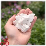 grys-do-ogrodu-ozdobny-16-32mm-thassos-snieznobialy-dekoracyjny-kamien-20kg-stan-nowy