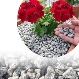 kamien-dekoracyjny-grys-8-16-mm-dalmatian-stone-do-ogrodu-na-rabaty-10kg
