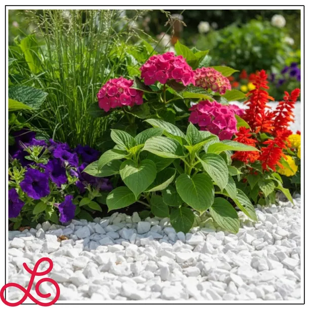 thassos-bialy-grys-8-16mm-snieznobialy-naturalny-grecki-kamien-piekny-20kg-kod-producenta-grys-bialy-do-ogrodu-dekoracyjny-8-16mm