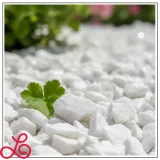 thassos-bialy-grys-8-16mm-snieznobialy-naturalny-grecki-kamien-piekny-20kg-stan-nowy-stan-opakowania-oryginalne