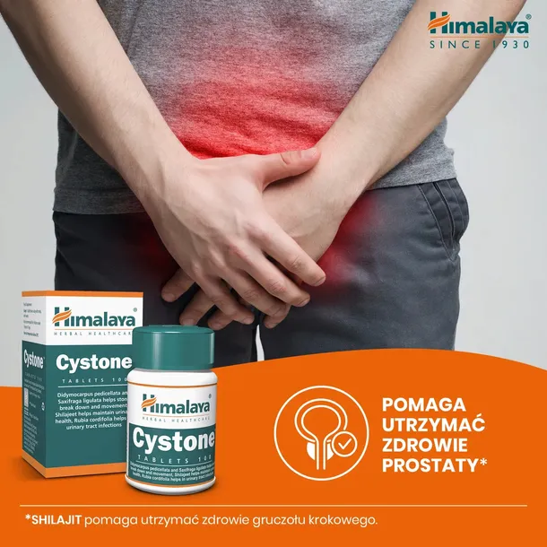 himalaya-cystone-100-tabletek-postac-tabletki