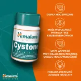 himalaya-cystone-100-tabletek-liczba-sztuk-100-szt